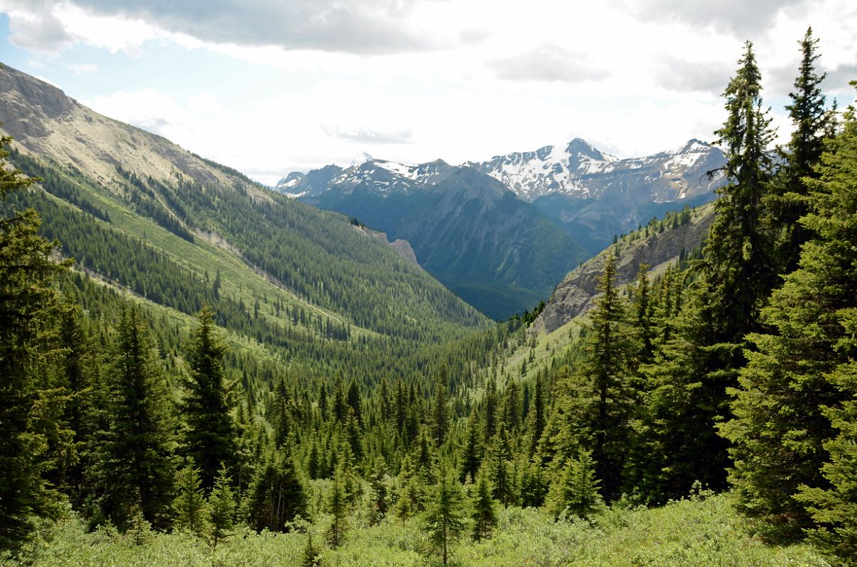 19 Looking Down At The Step Descent From Citadel Pass Toward The Simpson River With Nestor Peak On Hike To Mount Assiniboine